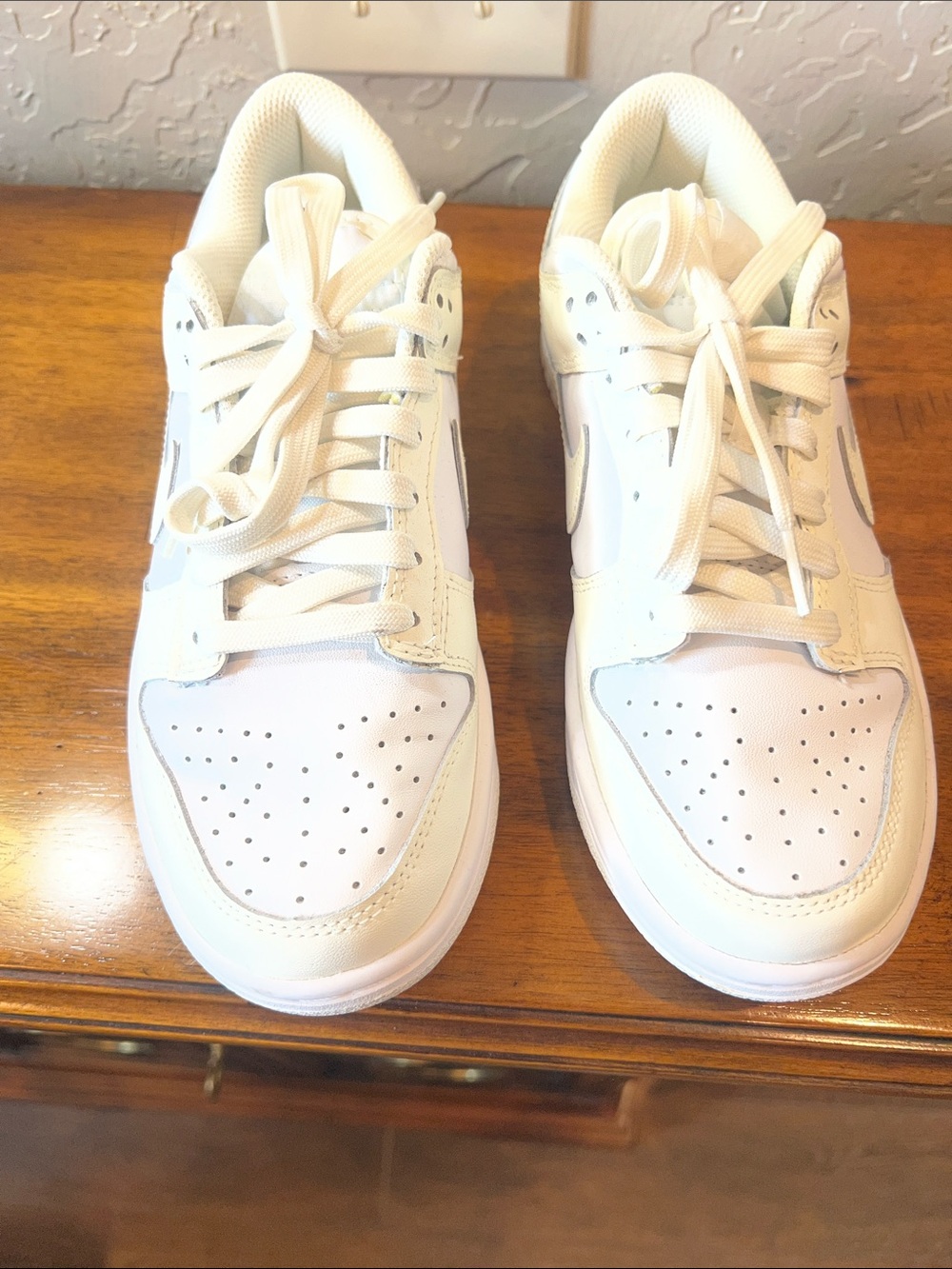 Nike dunk  Classic White and cream Low-Top Sneakers